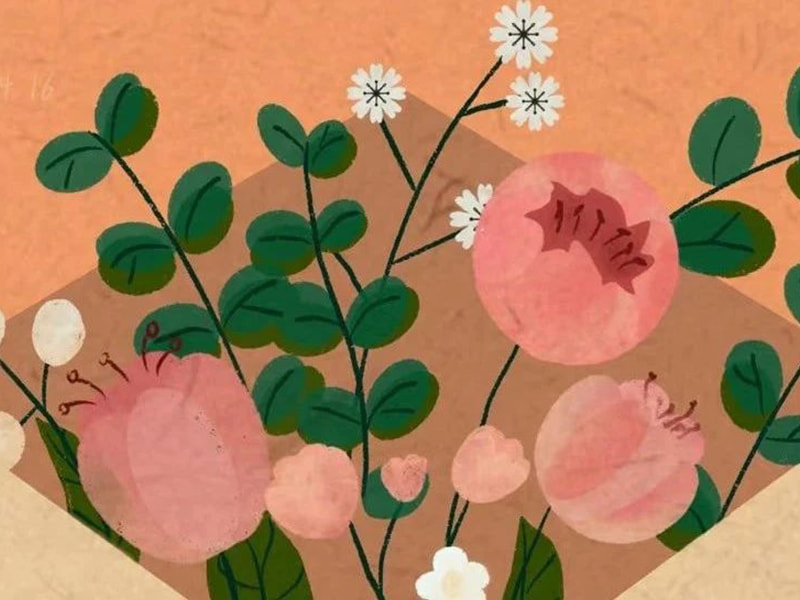 رسالة إلى عائلة يوفينغ