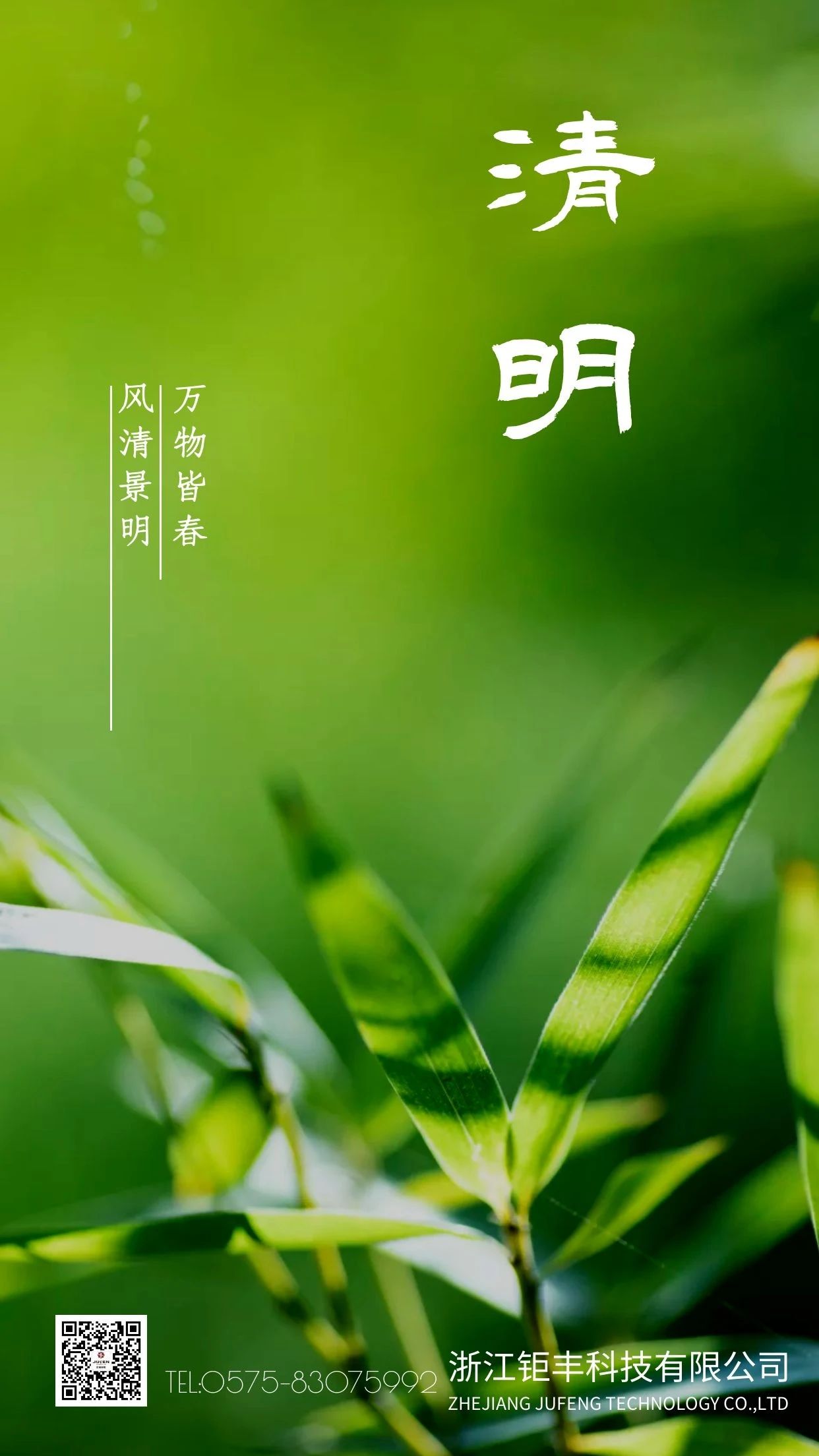 تشينغمينغ 丨 تهب الرياح ومهرجان تشينغمينغ مليء بالربيع