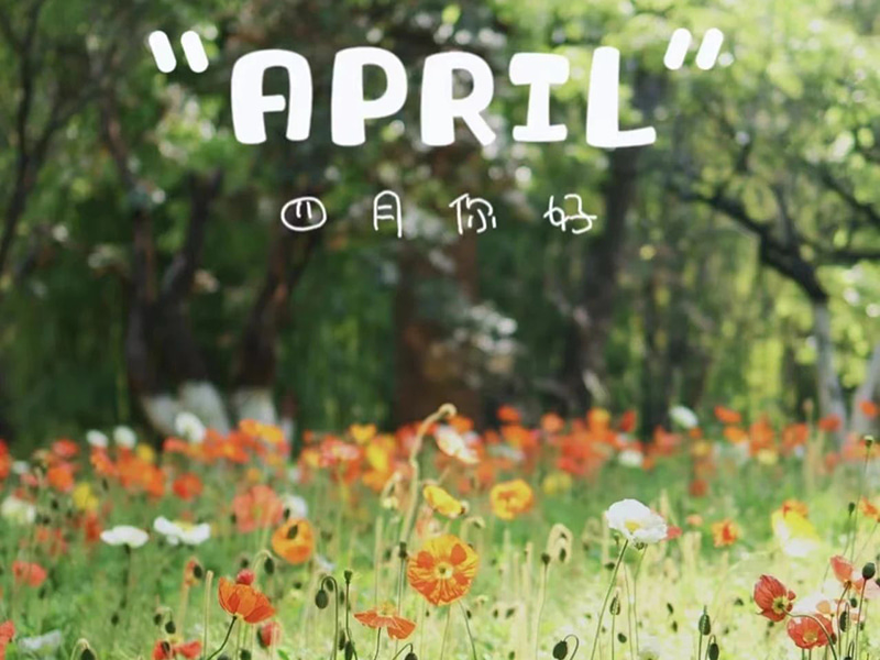 رغبات عيد الميلاد丨عيد ميلاد سعيد لأولئك الذين ولدوا في أبريل